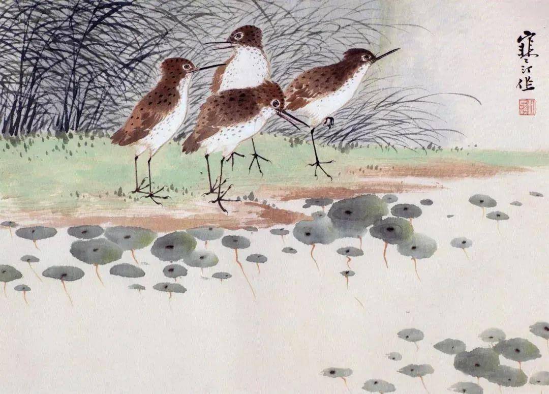 稻鸡 芦草乌春 碧桃黄眉金肚子 百曰红十姊妹 海棠山马 山梧桐 杨梅