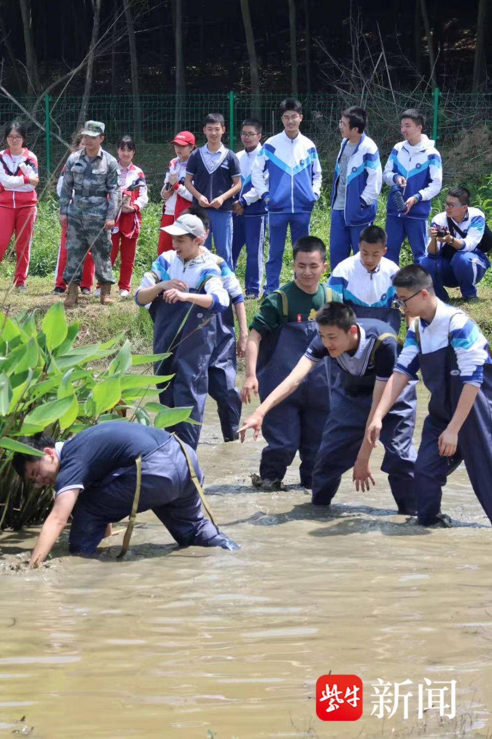 金陵中学江心洲校区_金陵中学STEAM教育_南京中学
