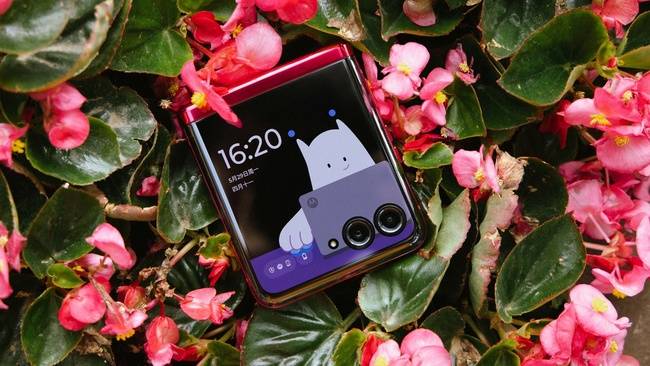 moto razr 40 ultra评测:最大外屏&最轻的竖折小手机