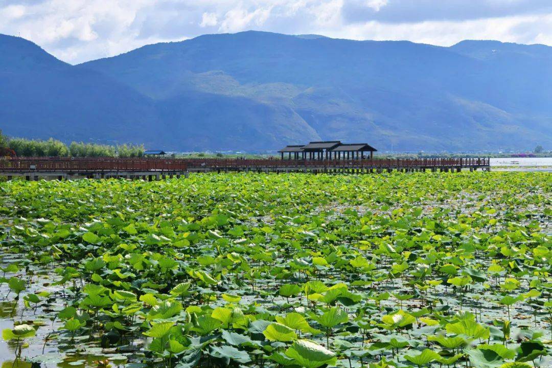 有一种叫云南的生活 | 石屏打造徐霞客ip ,助力文旅融合发展_龙湖