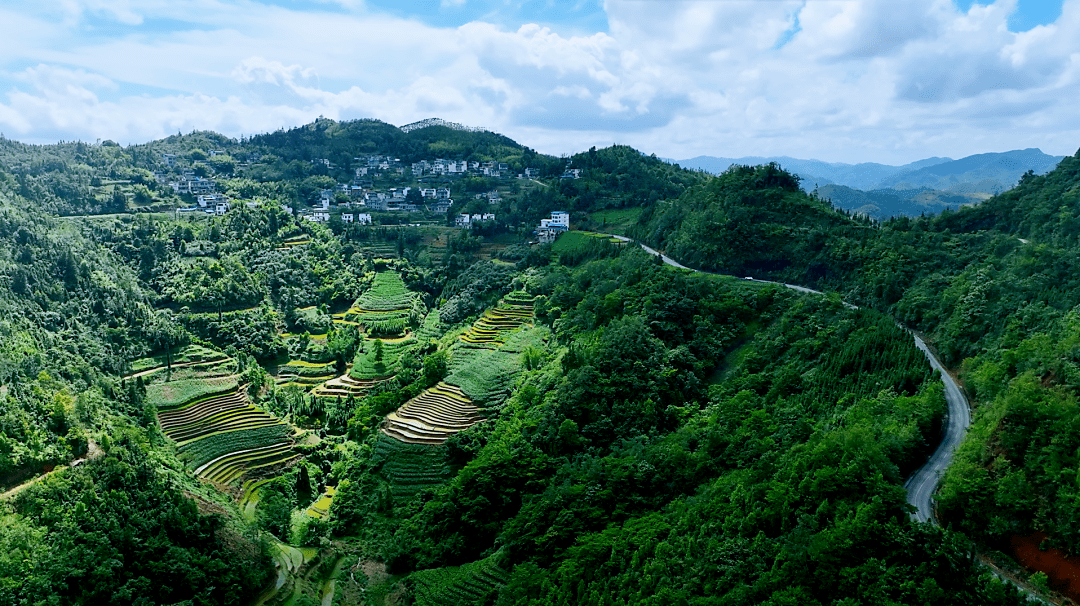 那坡县风景区图片