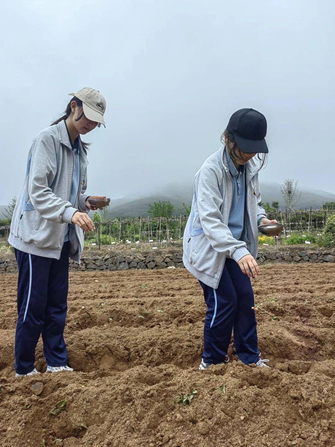 读书诵书感兴怀——青岛二中分校2022级理工学院学农纪实_活动_种植