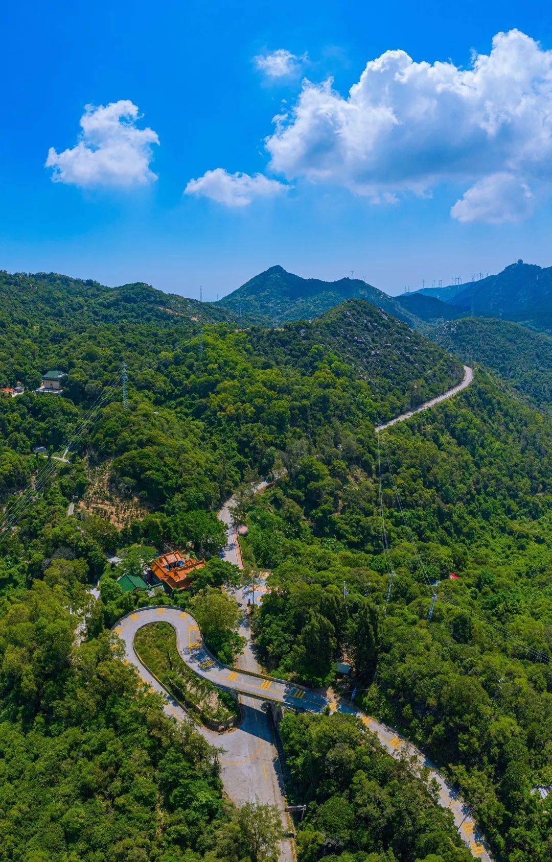 海岛县_生活_街道