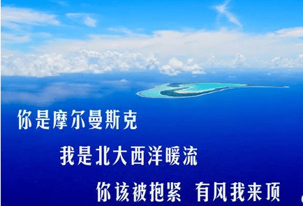 文章配图-17
