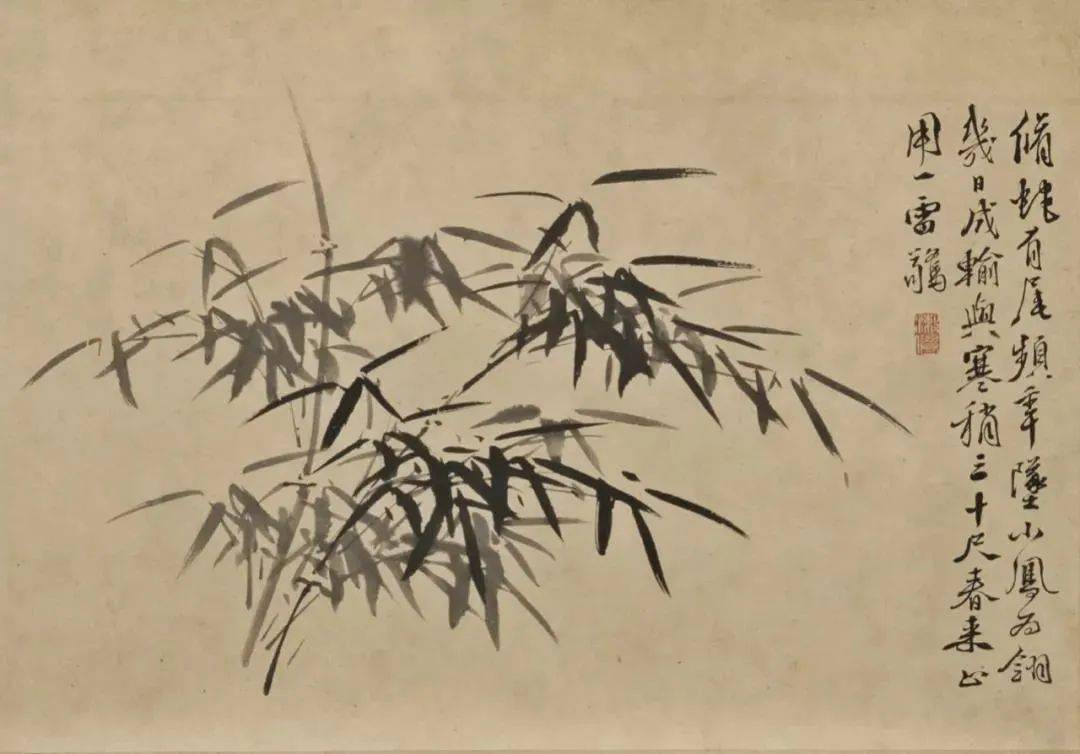 徐渭写竹，狂放不羁，墨气淋漓_水仙_竹子_竹卷