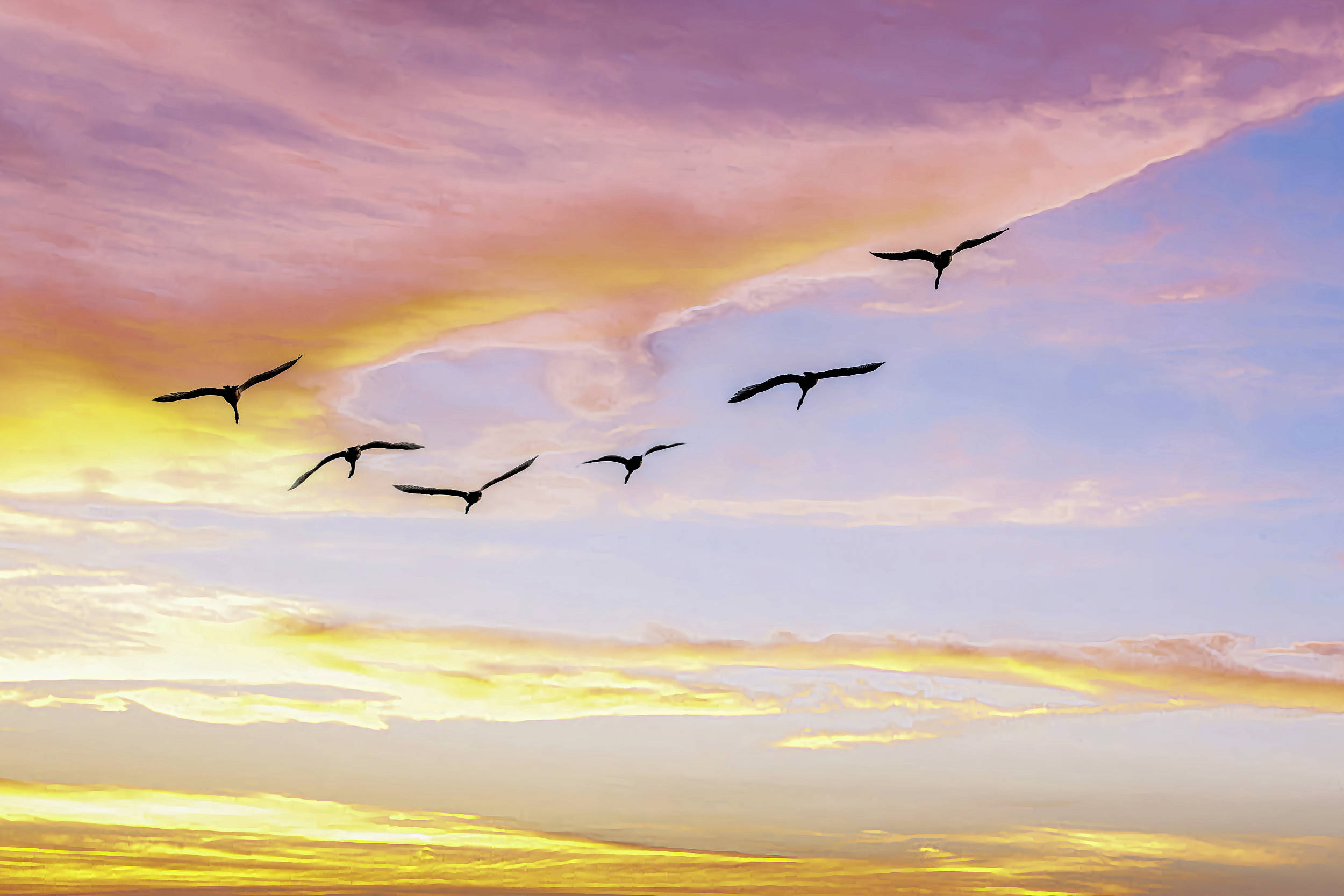 读书| 关于人类迁徙,诗和远方只是臆想_欧洲_罗宾·科恩_因为