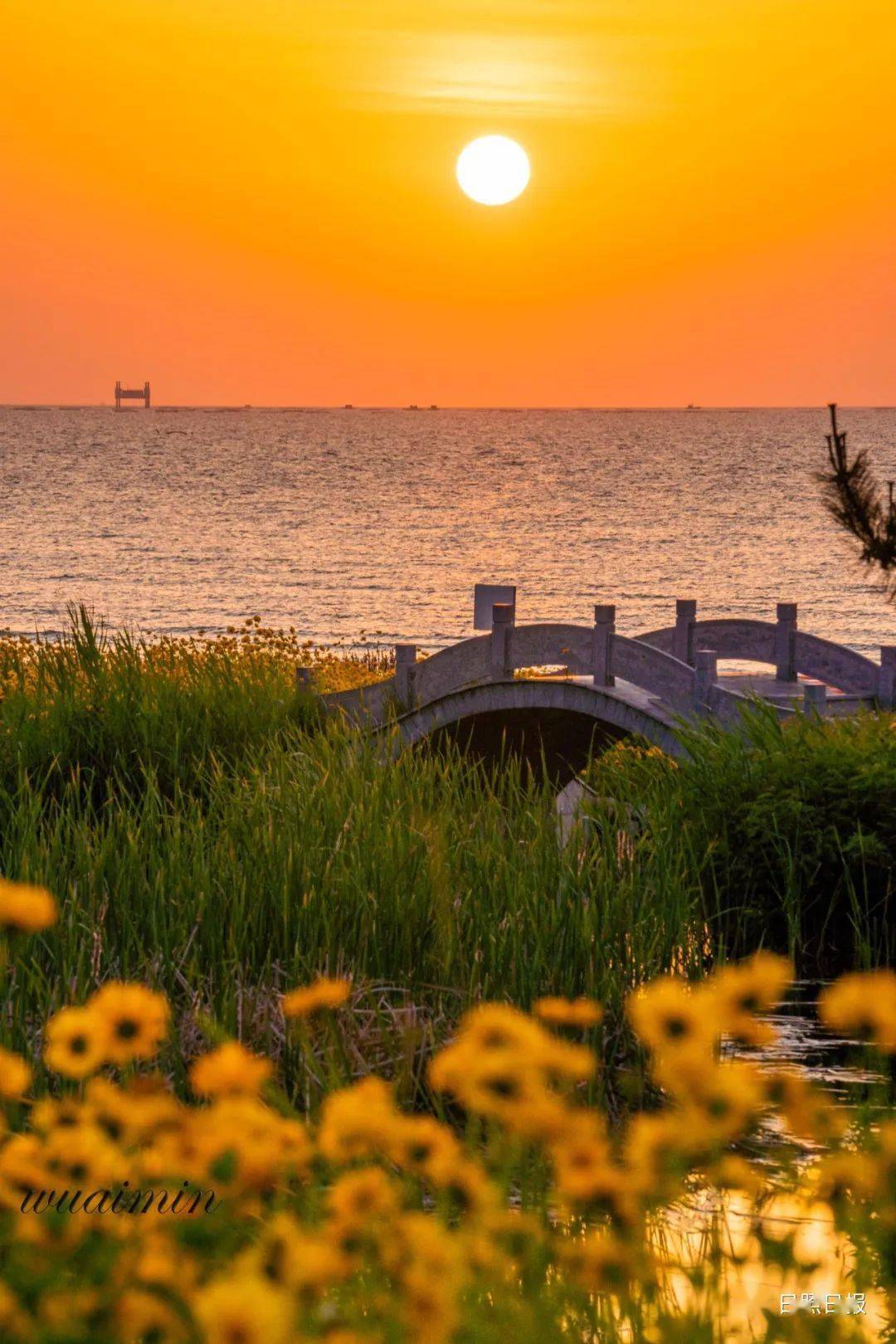 趁时光正好,来日照吧!_大海_向海_王均