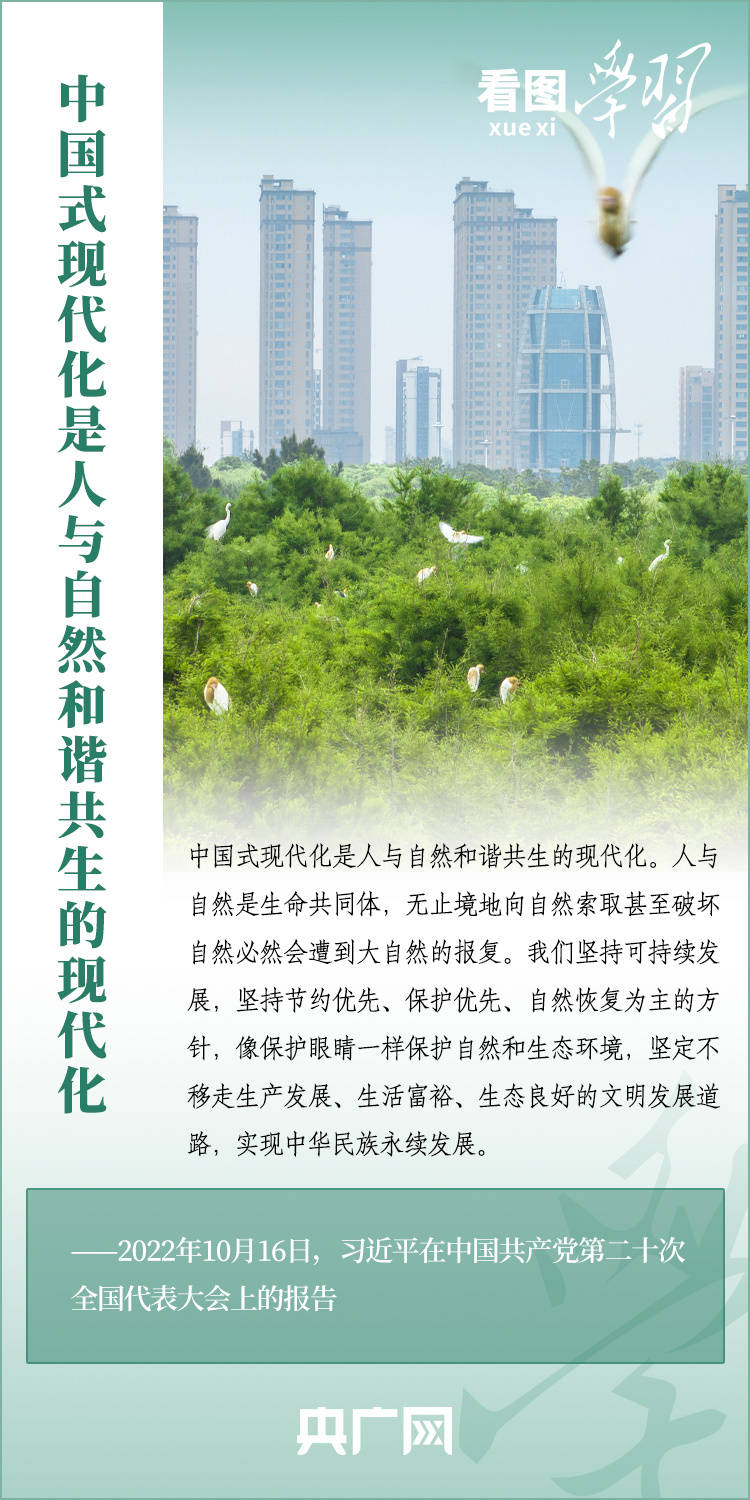 看图学习丨中国式现代化是人与自然和谐共生的现代化_建设_发展_文明