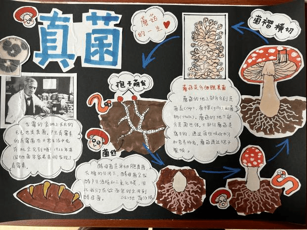 童心献礼十周年 科技筑梦向未来——"苹果树"科技节之中年段自然笔记