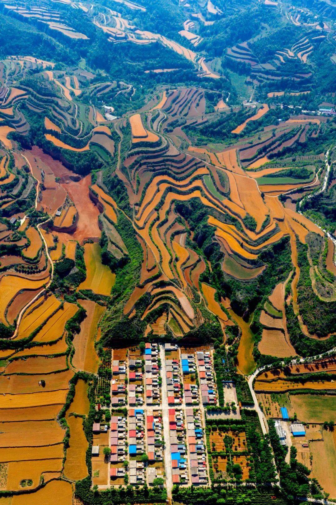 摄影/康辉在陕西关中平原,两千多年前这里的小麦曾支撑秦国崛起并统一