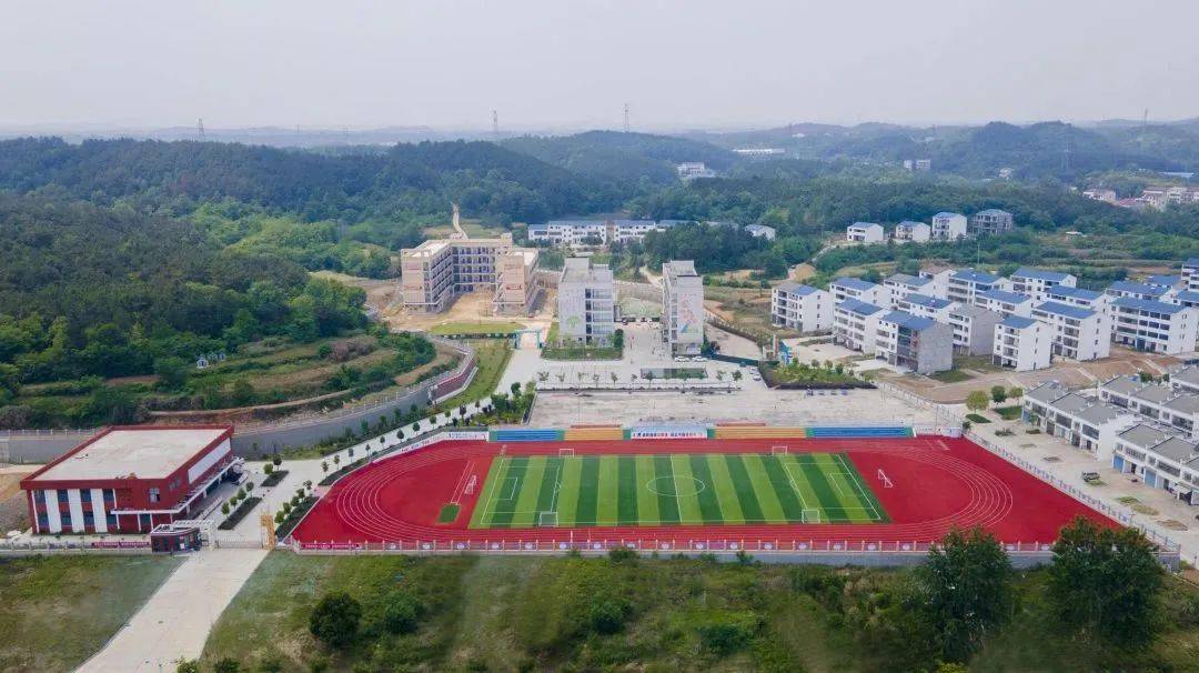 校园节气大使 | 癸卯年·芒种_湖北省_实验_小学