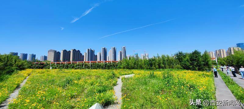 西安:雁南公园 美如画卷_窦翊明_美景_天气