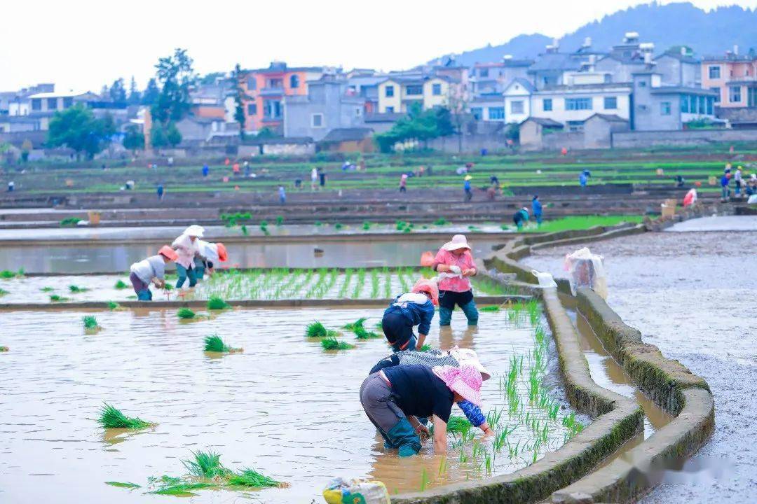 斜耙地走法全过程图片