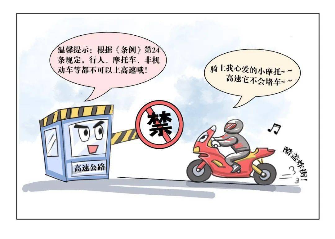 《河南省高速公路条例》_车辆_社会_清障