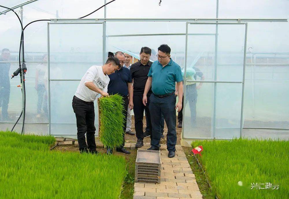 潘维维到屯脚镇调研_建设_机械_农田