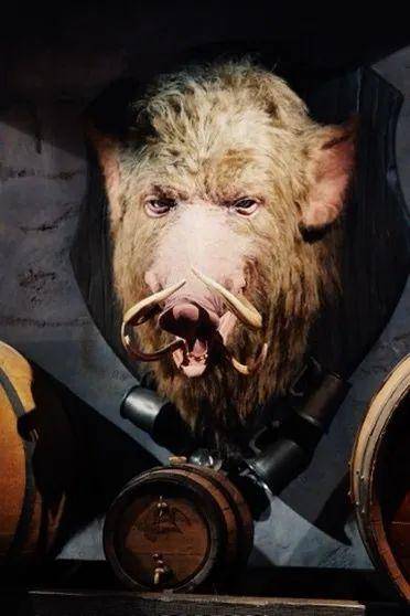 与禁忌之旅 tm 的魔法师队伍中突出重围,快来猪头酒吧收获夏日酷爽吧!