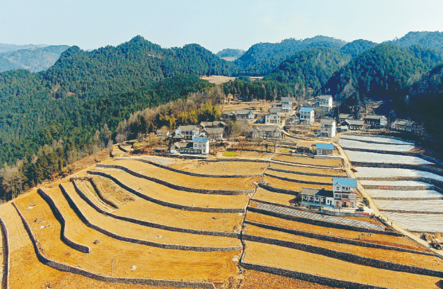 廣元朝天區:田管家巧管飯碗田_田長_耕地_保護