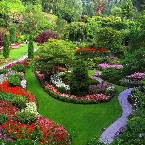 园林设计中的植物配置讲究_群落_变化_原则