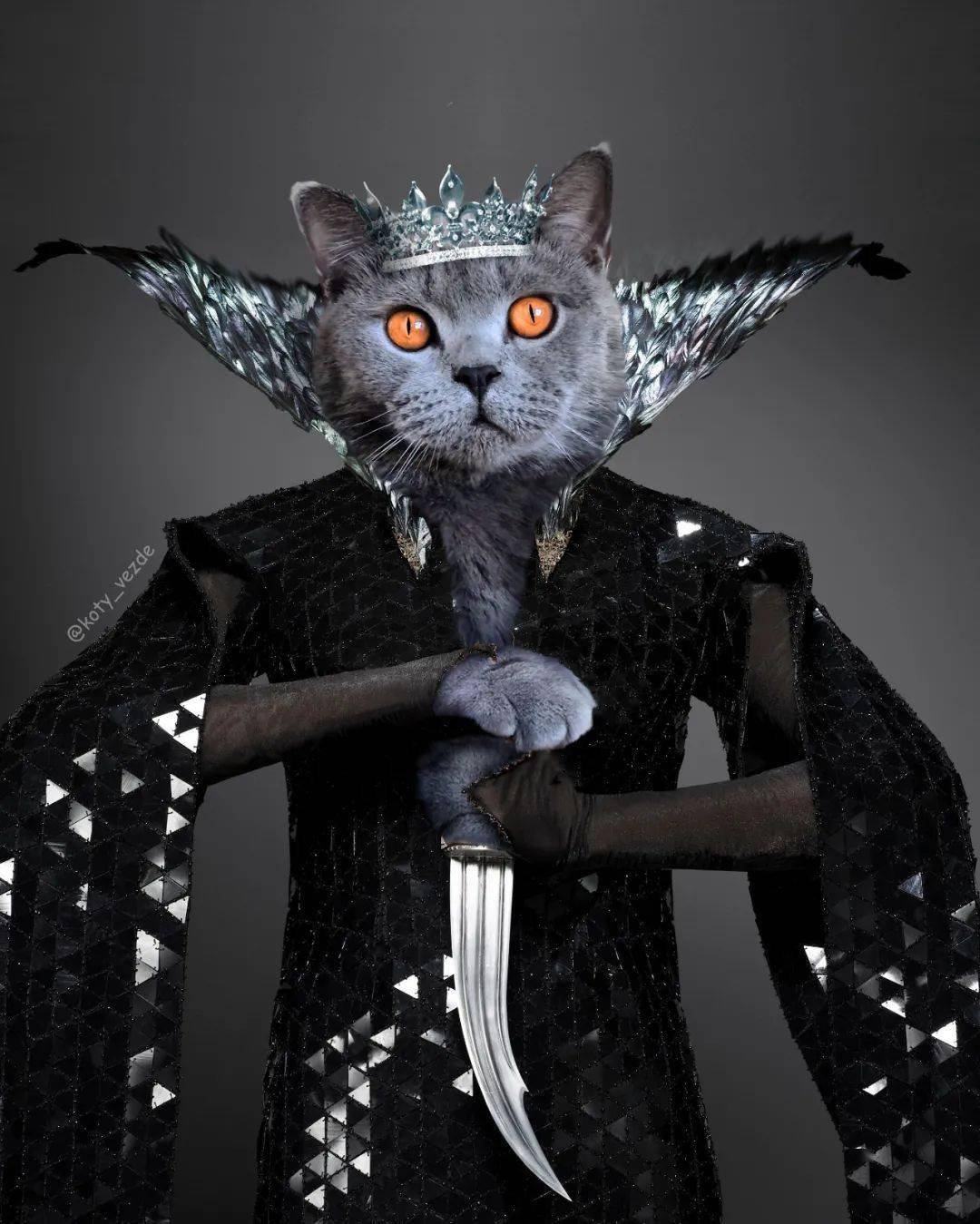 今天终于知道了!_什么_文章_翅膀