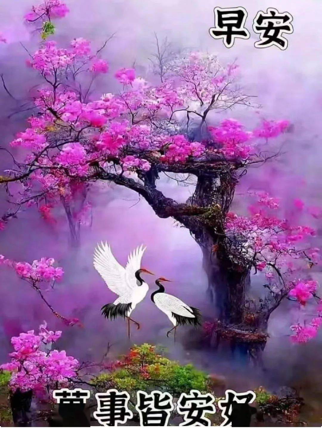 吉祥如意送给你,愿你幸福又安康.早安!_生活_亲爱的_柴米油盐