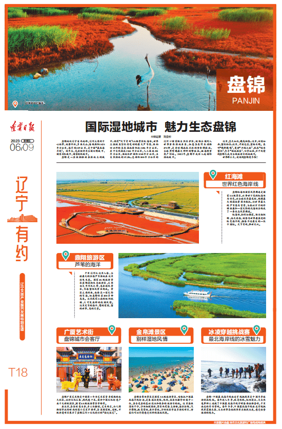 省媒看盘锦丨国际湿地城市 魅力生态盘锦
