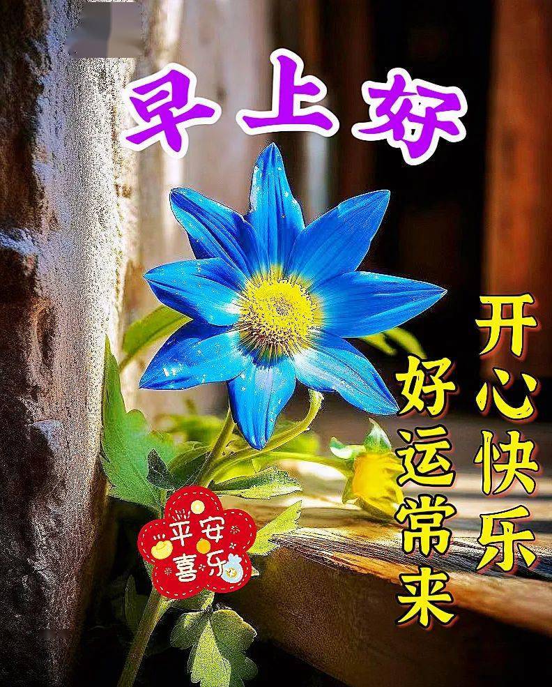 今日最新早上好表情图片大全,珍惜友谊,健康同行_祝福_阳光_心情