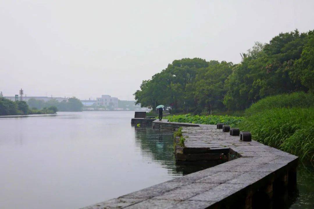 【图说·绍兴】烟雨蒙蒙青甸湖_摄影_广告_枫叶