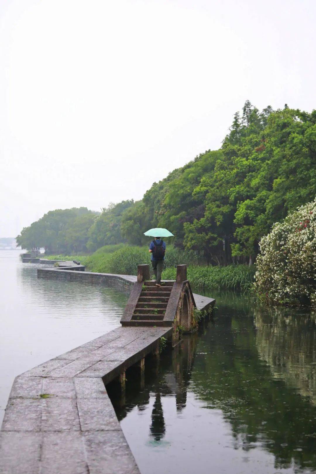【图说·绍兴】烟雨蒙蒙青甸湖_摄影_广告_枫叶