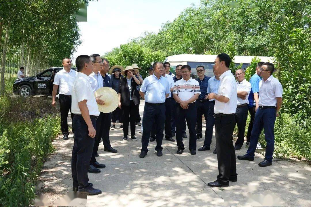 农业农村部农垦局局长左常升一行到勐腊县开展专题调研