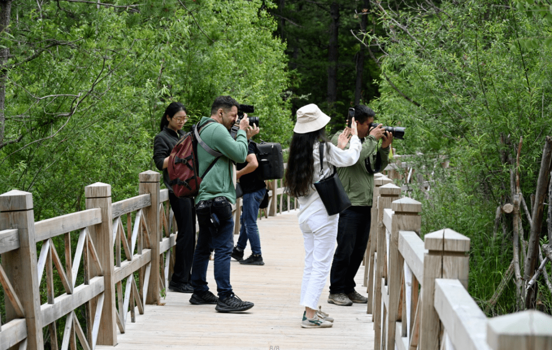 媒体看九寨丨法媒记者近距离感受九寨沟旖旎魅力
