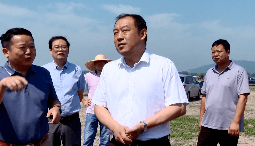 大棚蔬菜种植基地,清河村优质稻产业基地,孟家溪镇青龙村蟹稻种养基地
