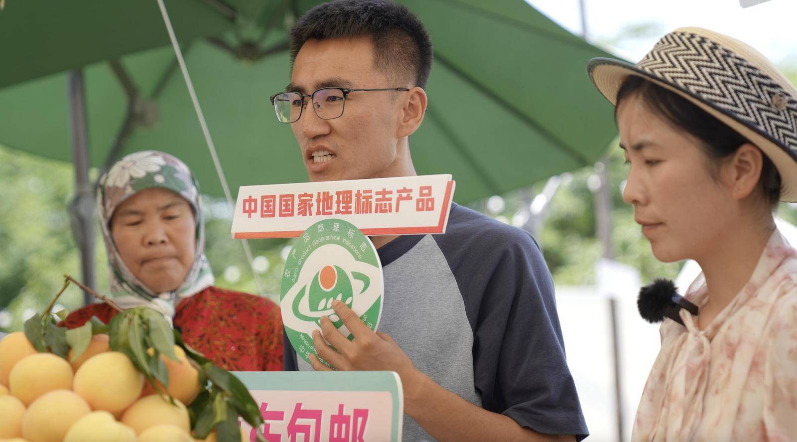 宁夏,北京,陕西,海南,福建,湖北……宁夏牧飒开启全