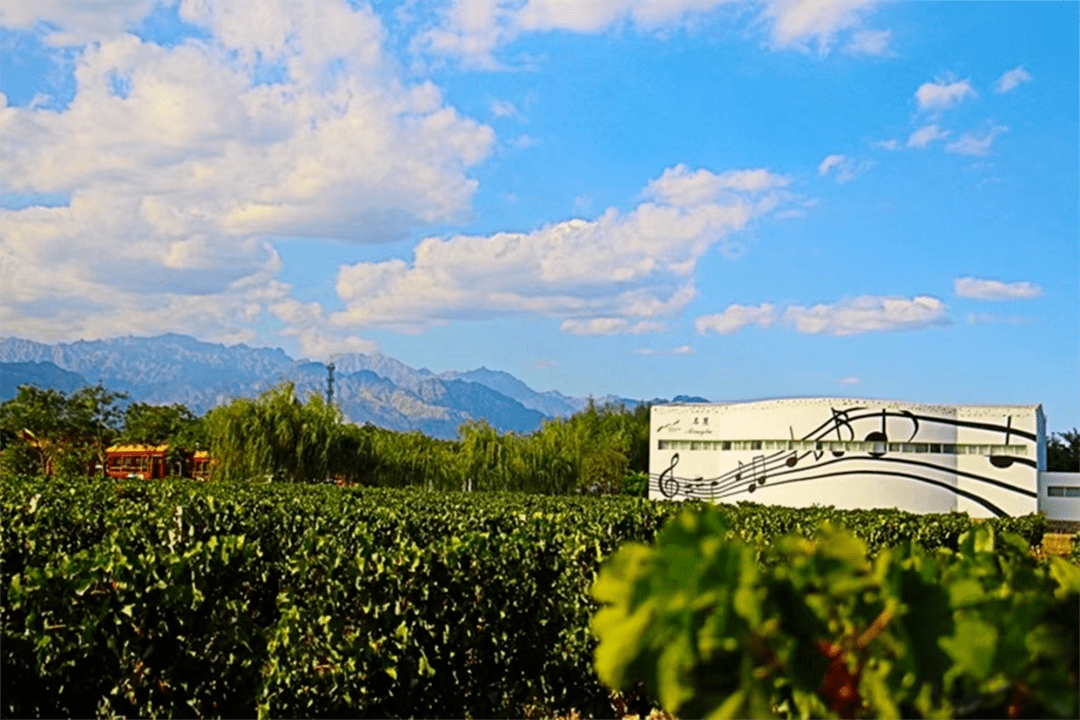 酒庄旅游线路 | 品红酒,赏美景,看星空.