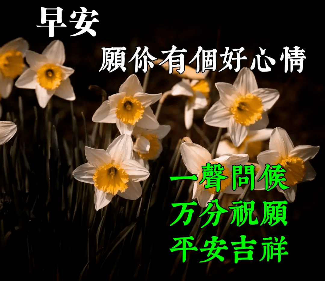 最新版最漂亮的早上好短语句子，问候暖心，早安吉祥！（早上好短句 新版2021）