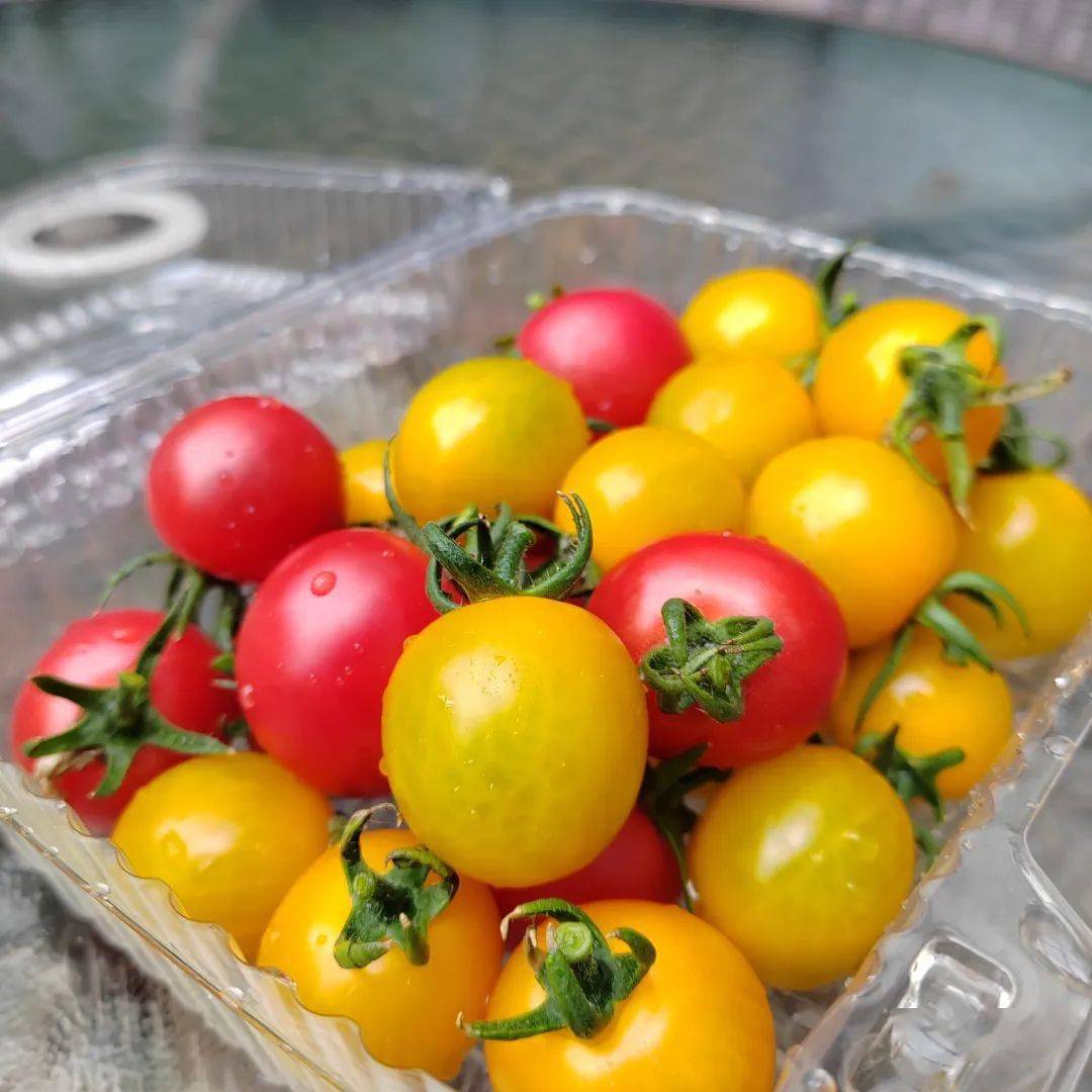 团购 | 一口爆汁,清甜爽口!超好吃的黄妃小番茄来了,别错过啦