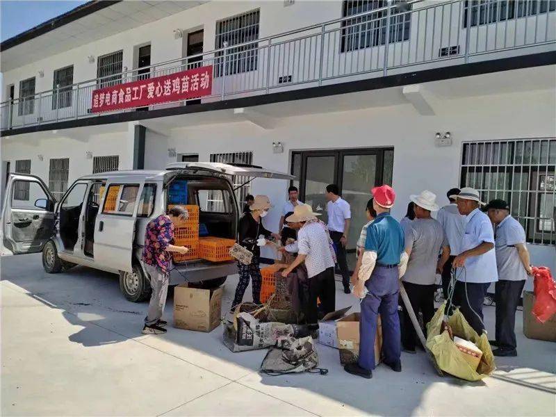 巢湖市柘皋镇:产业帮扶送鸡苗,乡村振兴添动力_养殖_双泉村_销售