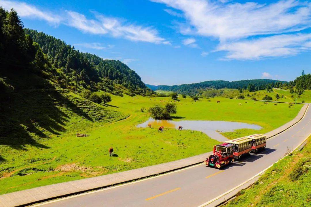 广之旅发布《2023暑期旅游市场趋势报告》_孩子_家长_活动