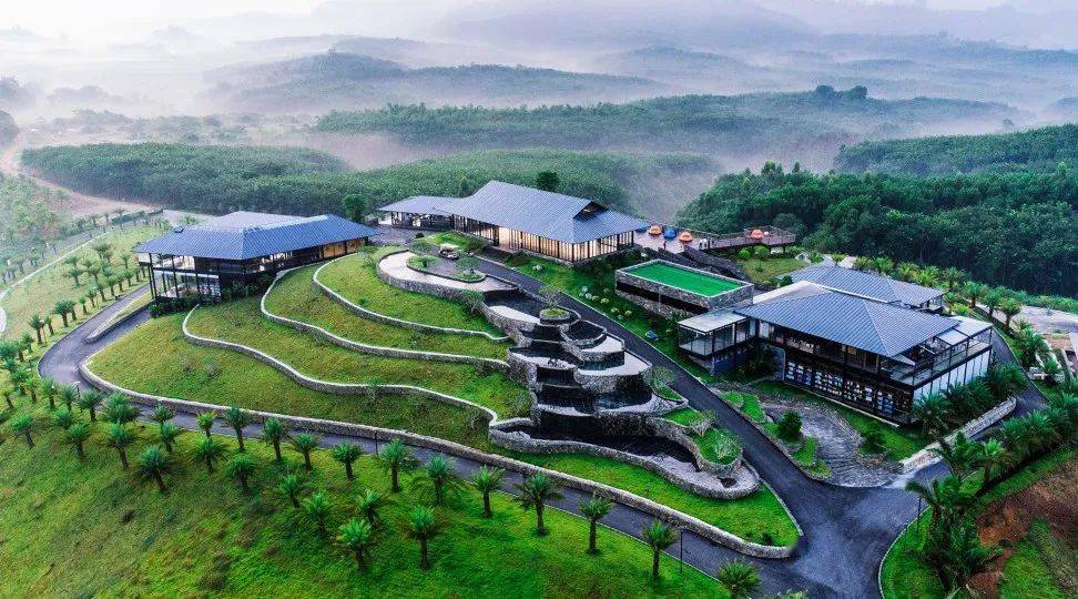 儋州市共享农庄精品路线推介_乡村_灵芝_樱花