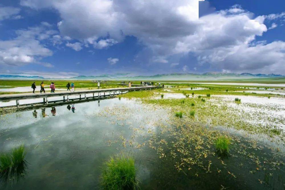 阿坝黄河大草原超美 随手一拍就是大片!_若尔盖_红原_旅行