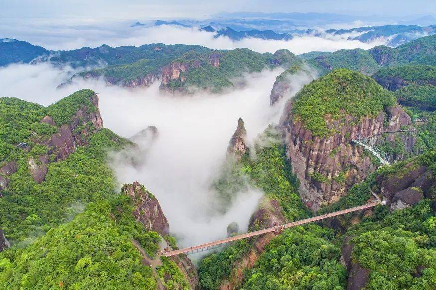 台州知名景区宣布:免门票两个半月!_活动_森林_淡竹