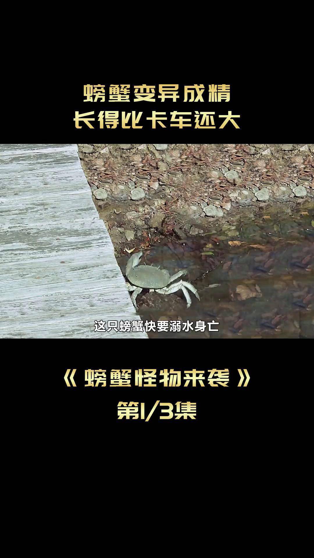 螃蟹变异成精,长得比卡车还大 电影解说 我的观影报告 宅家dou剧场