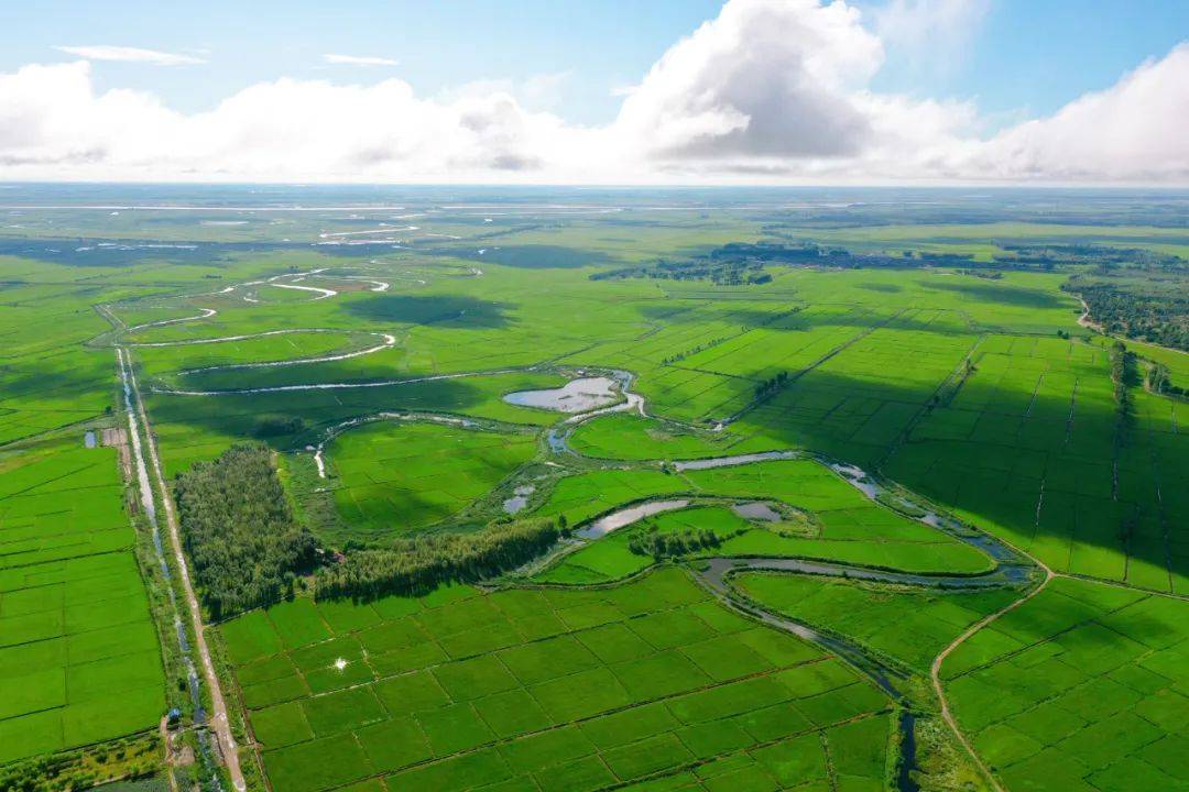 浴"洪"重生,回眸泰来农场25年发展历程_党旗_建设_洪水