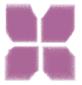 军婚蜜月行,泛舟爱湖上_西湖_军人_新人