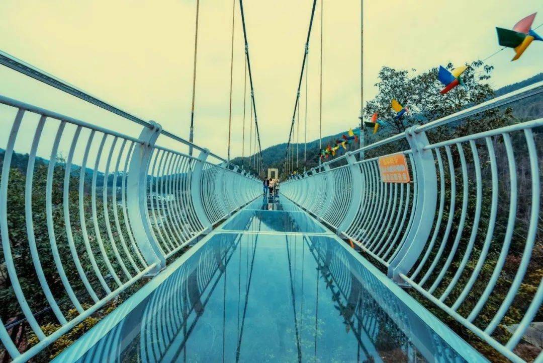 父爱如山 与"粽"不同 | 端午与父亲一起来梅岭谱写幸福散文诗_景区