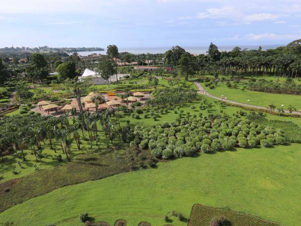 探访赤道几内亚马拉博国家公园_首都_新华社_园区