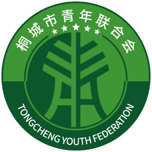 团市委参加桐城市青年联合会第三届委员会第一次全体会议_发展_群众组