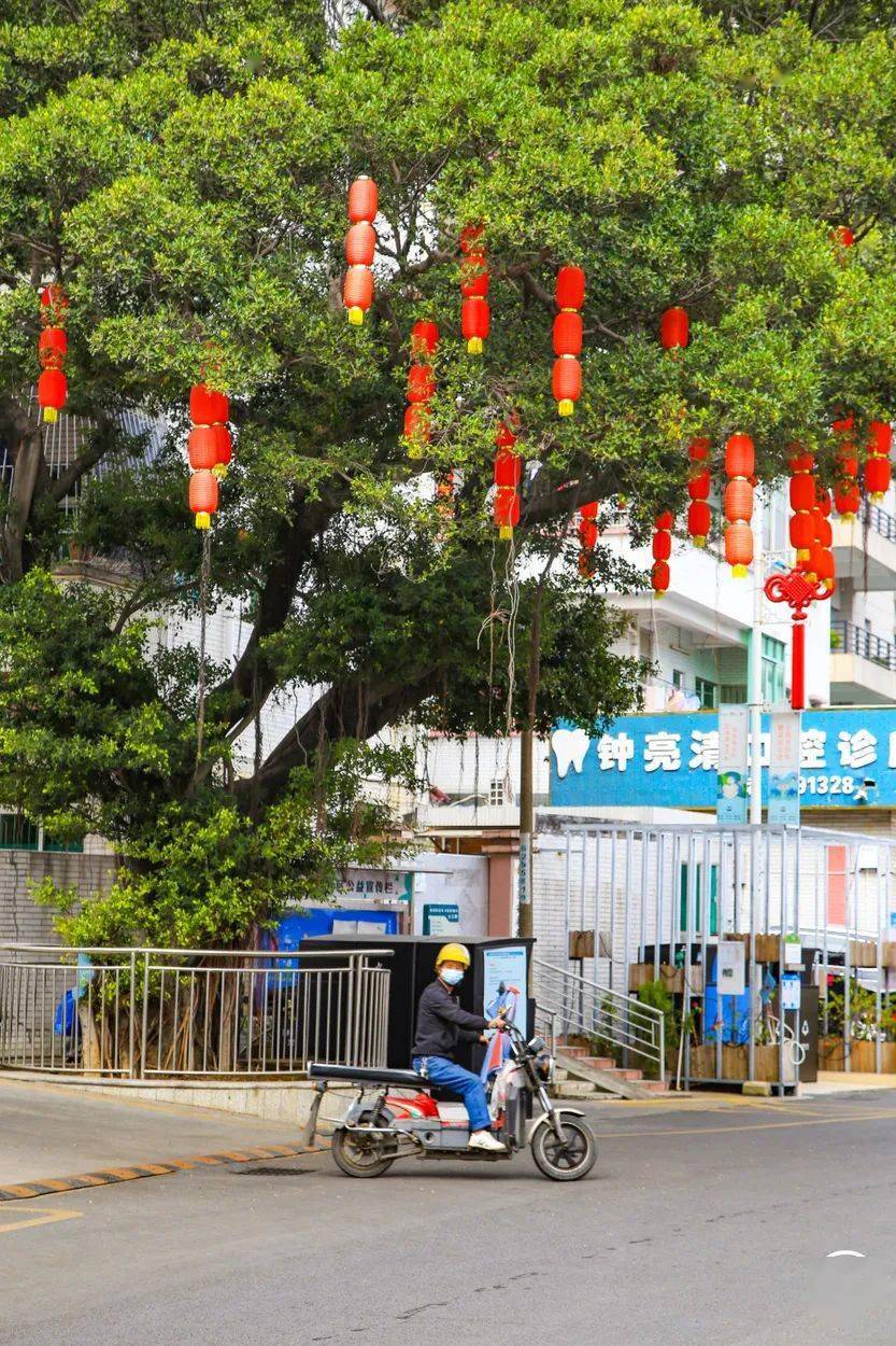深圳又一个"空姐村",要火?_黄田村_美食_宝安机场