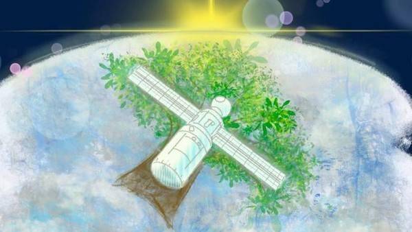 日本计划于2024年发射一颗木质卫星 或由玉兰树木制成