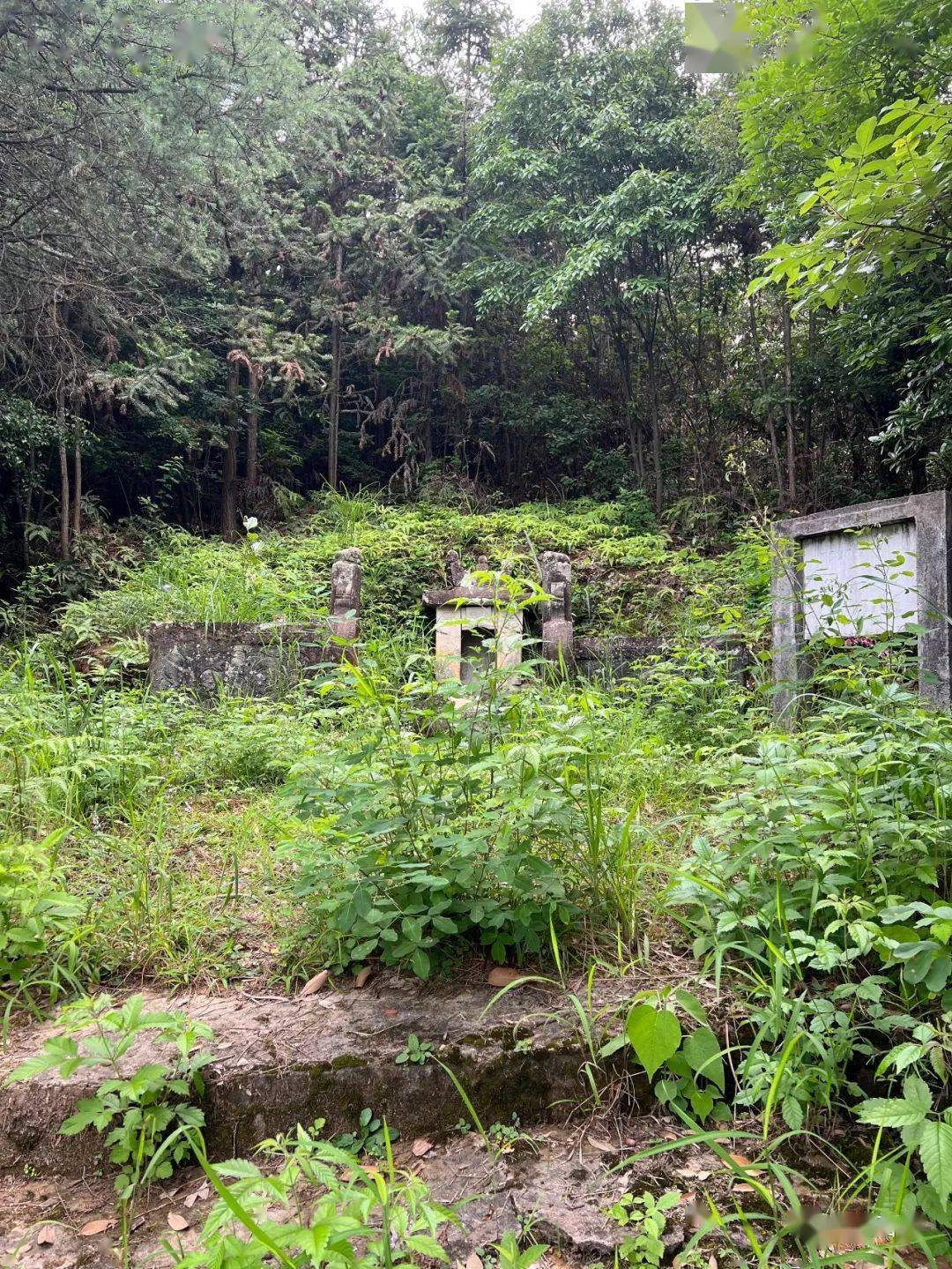 繁星| 寻找蒋士铨_叶先生_辛弃疾_南京