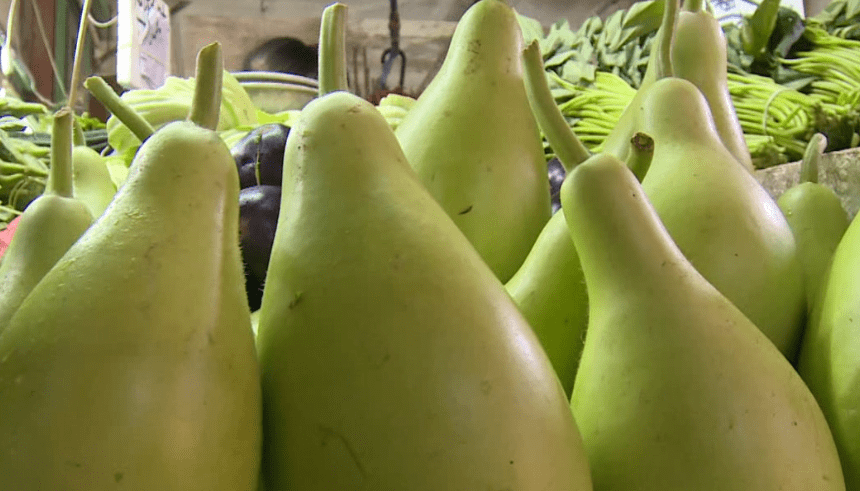 很多人夏天常吃_杨大爷_葫芦_进行